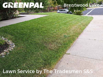 Lawn Mow nearby Brentwood, CA, 