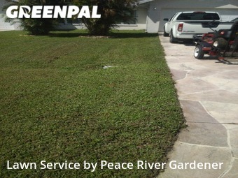Lawn Cutting nearby Punta Gorda, FL, 