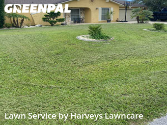 Lawn Mow nearby Spring Hill, FL, 