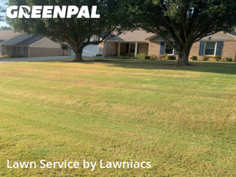 Lawn Maintenance nearby Harvest, AL, 