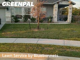Yard Mowing nearby Round Rock, TX, 