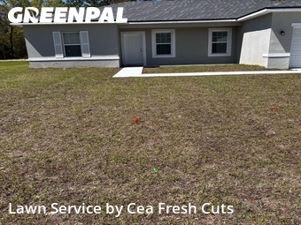 Lawn Cut nearby Ocala, FL, 