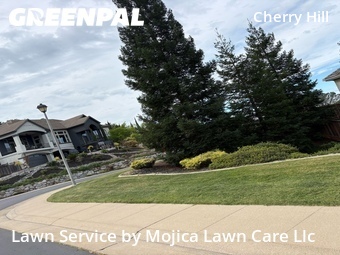 Work completed by local-landscaping-services-in-Rocklin-CA