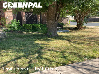 Lawn Maintenance nearby Round Rock, TX, 