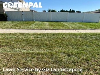 Yard Upkeep in Glenview, 60025, Property Maintenance by Glz Landiscaping, work completed in Nov , 2025