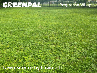 Lawn Maintenance nearby Fort Lauderdale, FL, 