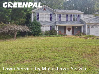 Yard Cuttingin Lawrenceville,30044,Grass Cutting by Migos Lawn Service, work completed in Nov , 2025