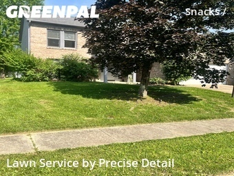 Lawn Mowing nearby Indianapolis, IN, 