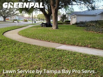 Lawn Mow nearby Valrico, FL, 