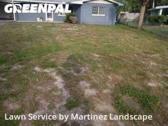 Lawn Care nearby Leesburg, FL, 