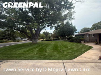 Work completed by local-lawn-and-landscape-maintenance-services-near-me-in-Sacramento-CA
