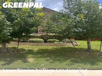 Grass Cut nearby Cibolo, TX, 