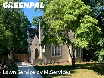 Lawn Mow nearby Greensboro, NC, 