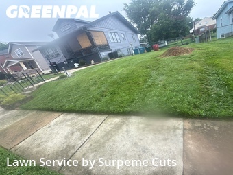Yard Mowing nearby Cincinnati, OH, 