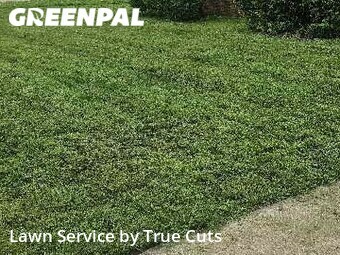 Yard Cutting nearby Del City, OK, 