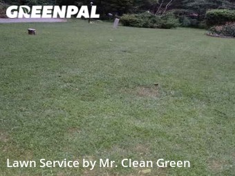 Yard Cutting nearby Owings Mills, MD, 