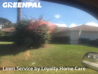 Lawn Cut nearby Port St. Lucie, FL, 