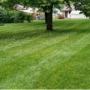 affordable-landscaping-maintenance-services-in-Roseville-MN