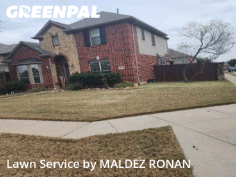 Yard Management in Allen, 75013, Yard Maintenance by MALDEZ RONAN, work completed in Dec , 2025