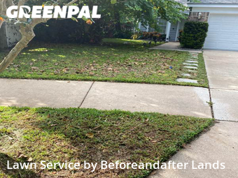 Grass Cut nearby Orlando, FL, 