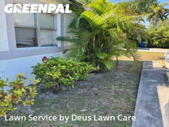 Weed Trimming in Hallandale Beach, 33009, Yard Grooming by Deus Lawn Care , work completed in Nov , 2025