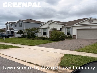 Grass Cutin Apopka,32712,Lawn Cutting by Alvarez Lawn Company, work completed in Jun , 2026