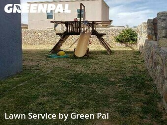 Grass Cut nearby El Paso, TX, 