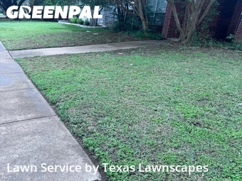 Lawn Cutting nearby Rowlett, TX, 