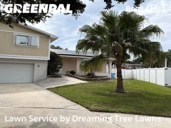 Grass Cut nearby Seminole, FL, 