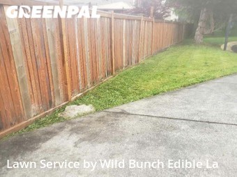 Yard Cutting nearby Auburn, WA, 