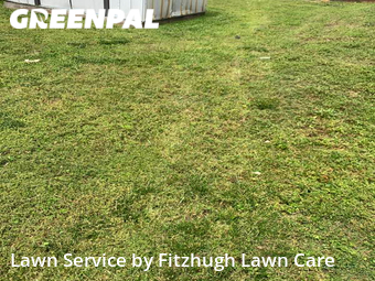 Lawn Cut nearby Nashville, TN, 