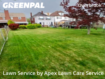 Grass Cut nearby Pittsburgh, PA, 