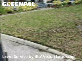 Grass Cutting nearby Tampa, FL, 