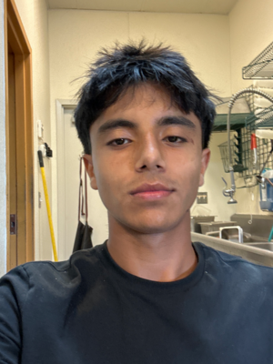 commercial-landscaping-in