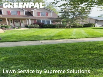 Lawn Maintenancein Elgin,60123,Lawn Mowing Service by Supreme Solutions , work completed in Jul , 2026
