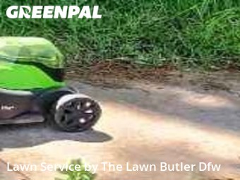 Yard Cutting nearby The Colony, TX, 