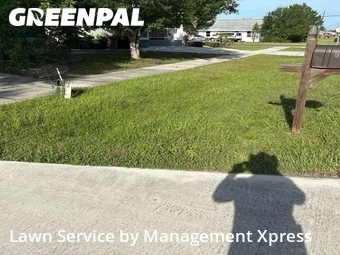 Lawn Cut nearby Punta Gorda, FL, 