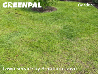 Lawn Mow nearby Geismar, LA, 