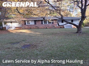 Grass Cut nearby Decatur, GA, 