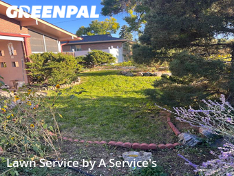 Yard Cutting nearby Centennial, CO, 