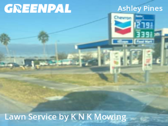 Lawn Cutting nearby Wesley Chapel, FL, 