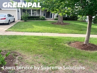 Grass Cutting nearby Bolingbrook, IL, 