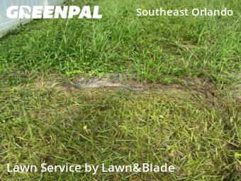 Yard Mowing nearby Orlando, FL, 