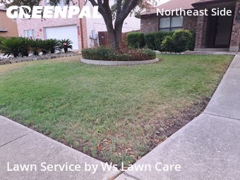 Lawn Service nearby Schertz, TX, 