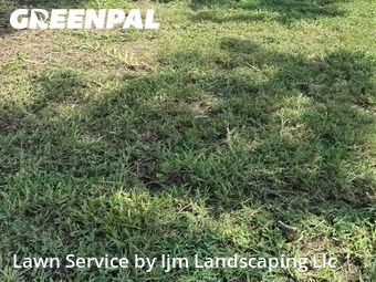 Lawn Cut nearby Windermere, FL, 