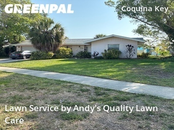 Lawn Mow nearby St. Petersburg, FL, 