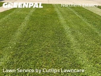 Grass Cut nearby Springfield, OH, 