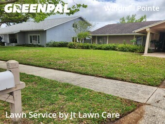 Lawn Cut nearby Palm Harbor, FL, 