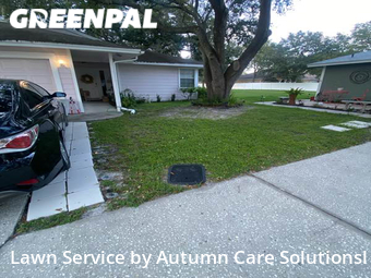 Lawn Mow nearby Tampa, FL, 