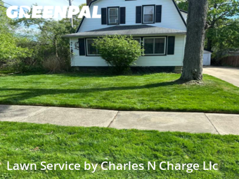 Grass Cutting nearby South Euclid, OH, 